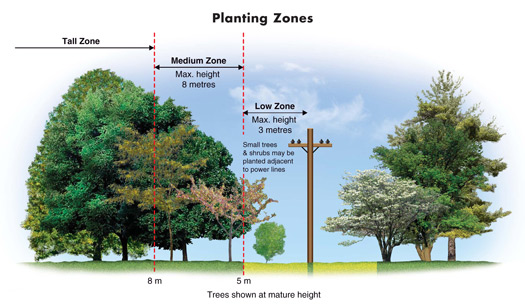 Diagram: Planting Zone