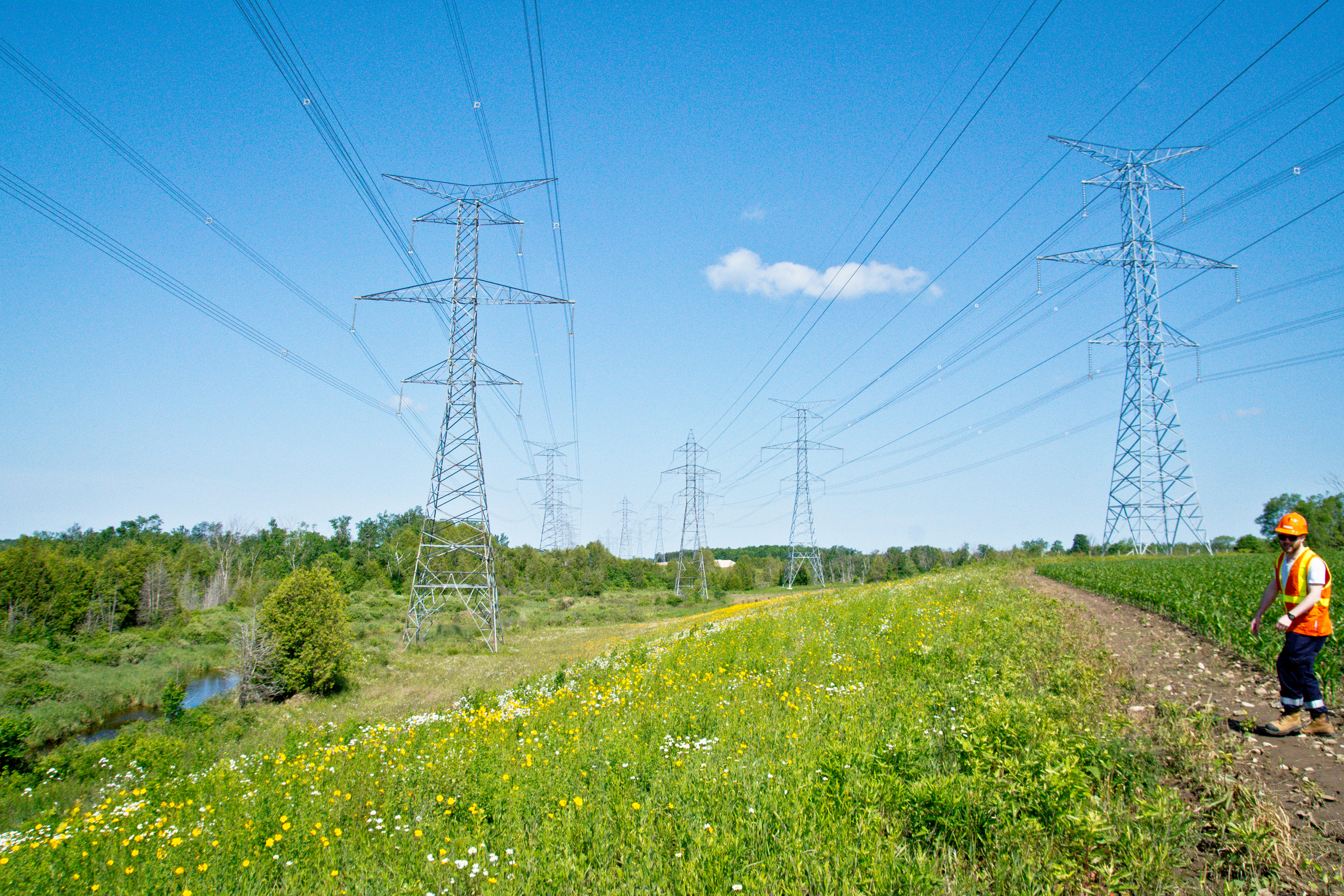 photo of a Hydro One Right of Way under a transmission corridor