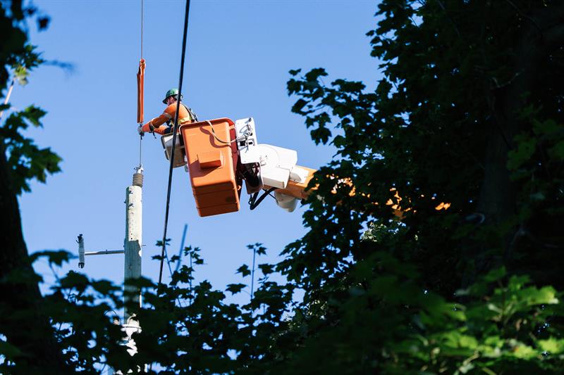 photo of a Hydro One lineman covering a power line