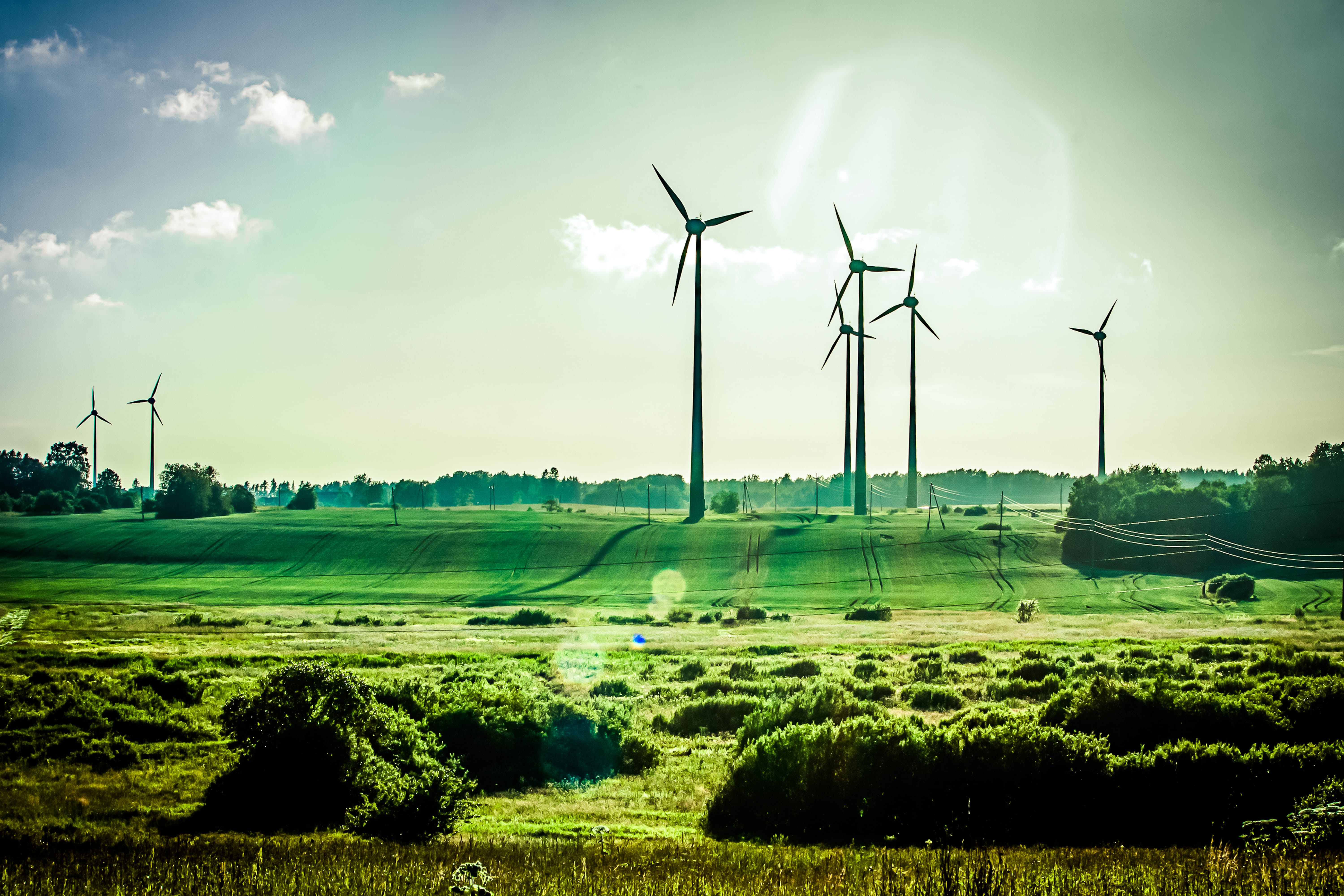 photo of several large windmills in a farm field