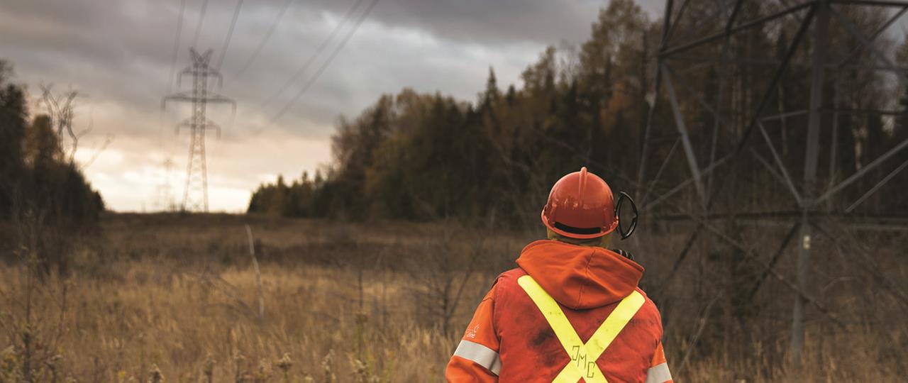 Photo of Hydro One forestry professional walking down a transmission corridor