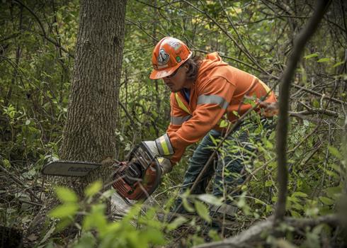 Image of Hydro One Line Technicians