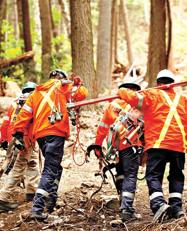 photo of a Hydro One Forestry crew