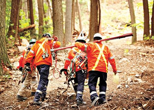photo of a Hydro One Forestry crew