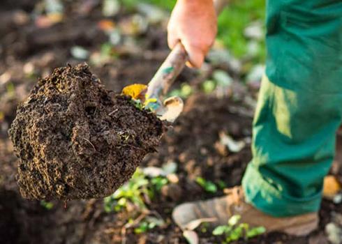 Photo of a person digging in the ground