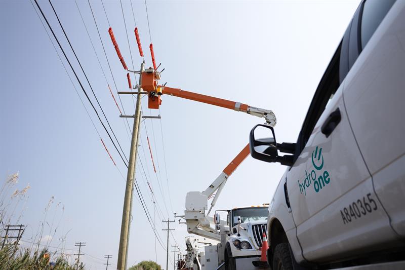Photo of distribution poles and lines