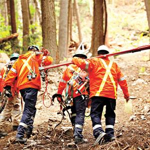 Photo of Hydro One in-field workers in a forest