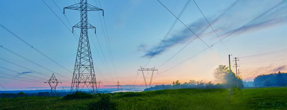 Photo of a lush green Hydro One transmission corridor