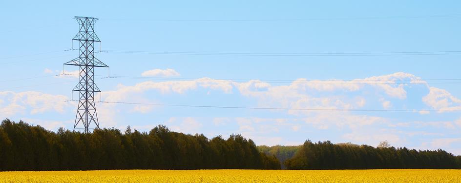 photo of a transmission tower on the outskirts of a farmer's field