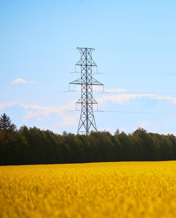 photo of a transmission tower on the edge of a farm property