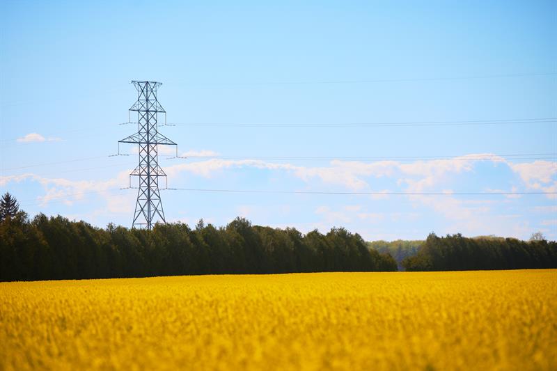 photo of a farmer's field in southwestern Ontario