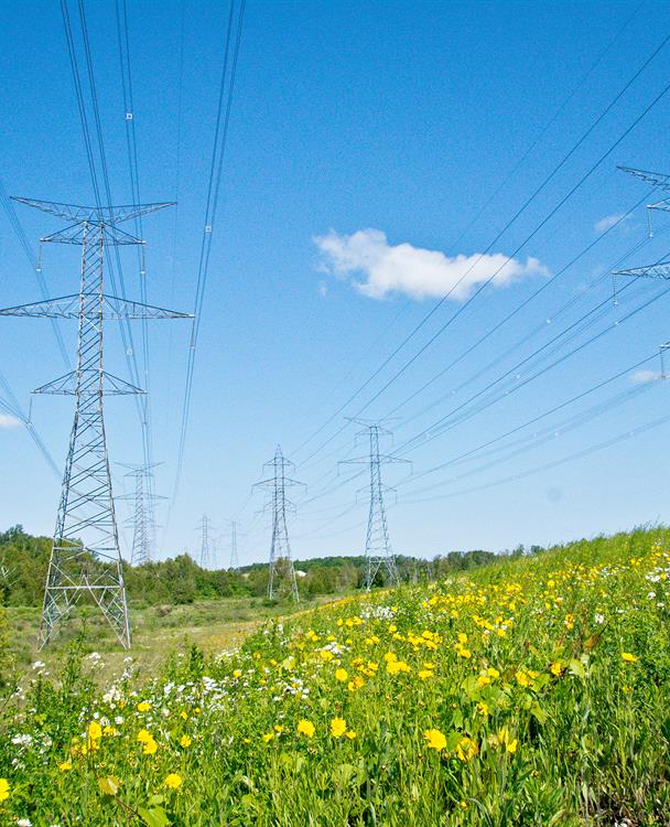 Aerial photo of a Hydro One transmission corridor