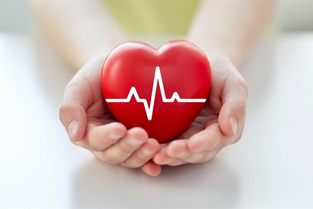 Image of hands holding a plastic heart