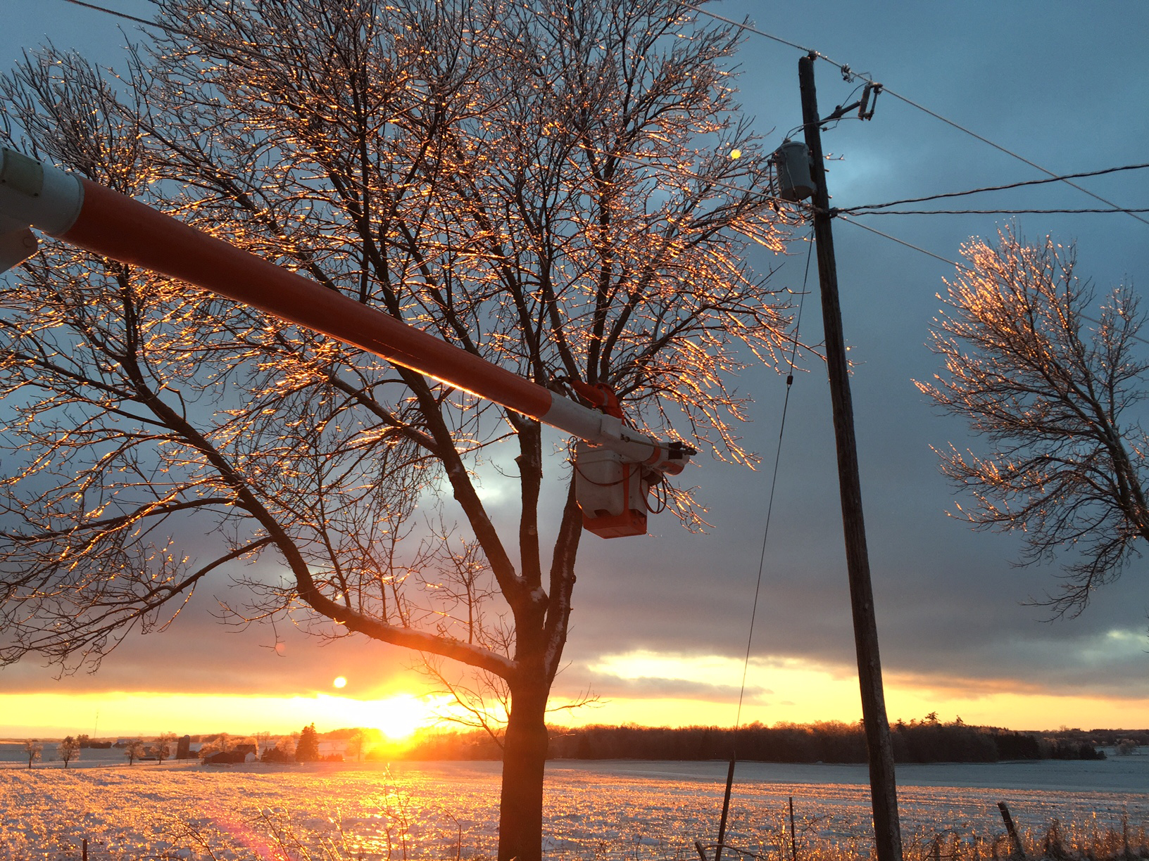 photo of a Hydro One lineman at the top of a wooden distribution pole