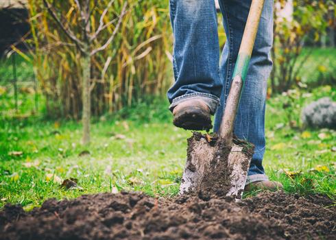 Click before you dig