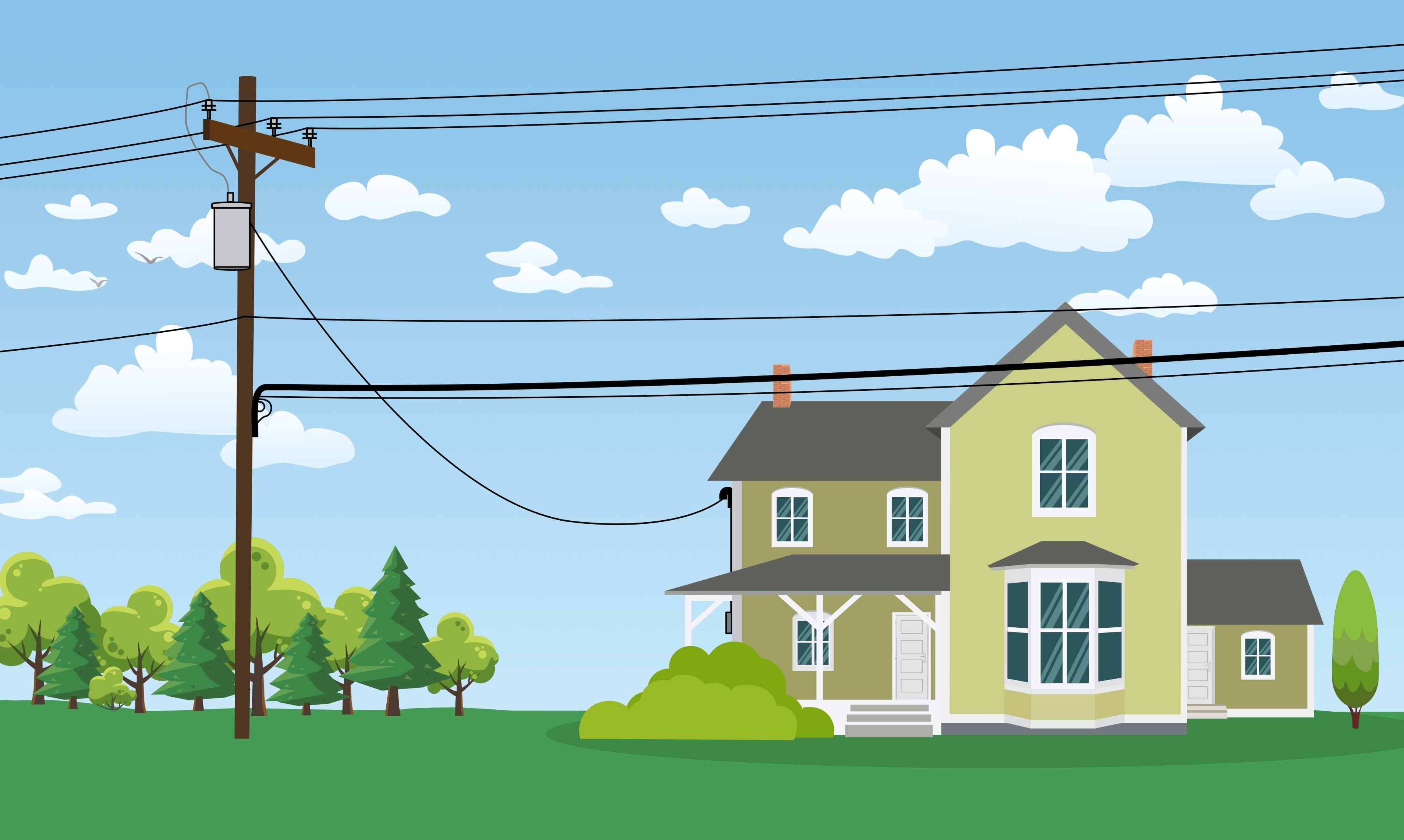 Tree Trimming Diagram