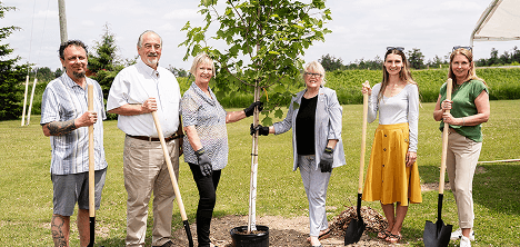 People outside planting a tree