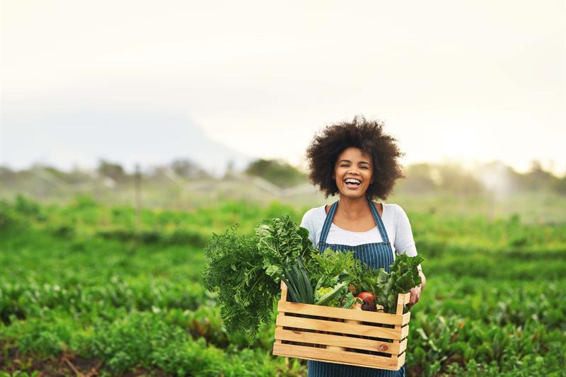 Photo of Woman standing in a field of crops.