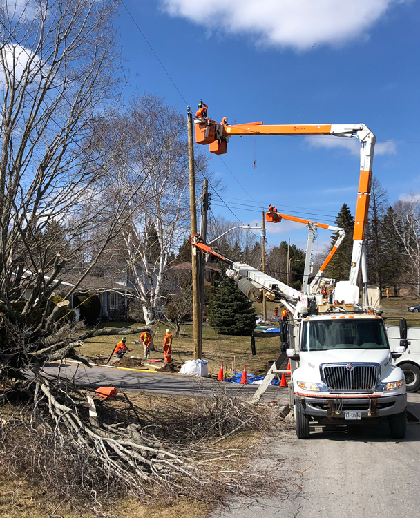 workers tending to fallen trees in a neighbourhood after a storm