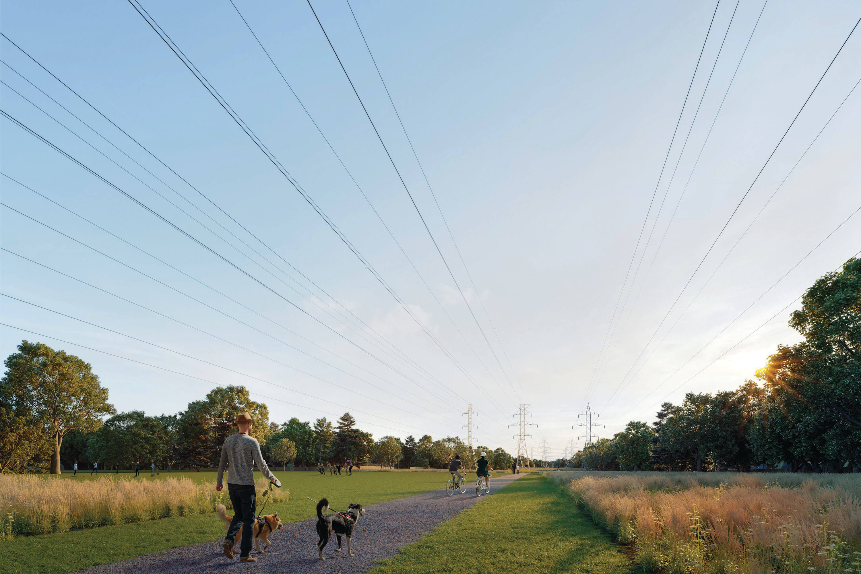 Concept Photo of the Etobicoke Greenway corridor re-imagined