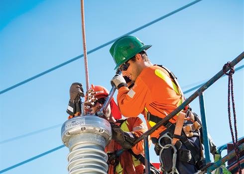 Photo of a workers on a pole