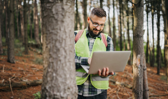 Person in the forest looking at their labtop