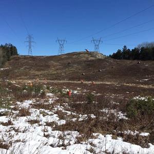 Image of power lines in Algonquin Park