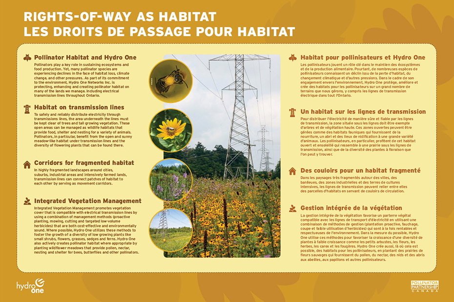 infographic: Right-of-Ways as habitat