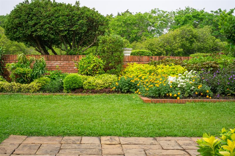 A bright green lawn with a lot of plants near a brick wall