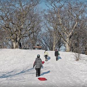 photo of three kids sledding on a snowy hill
