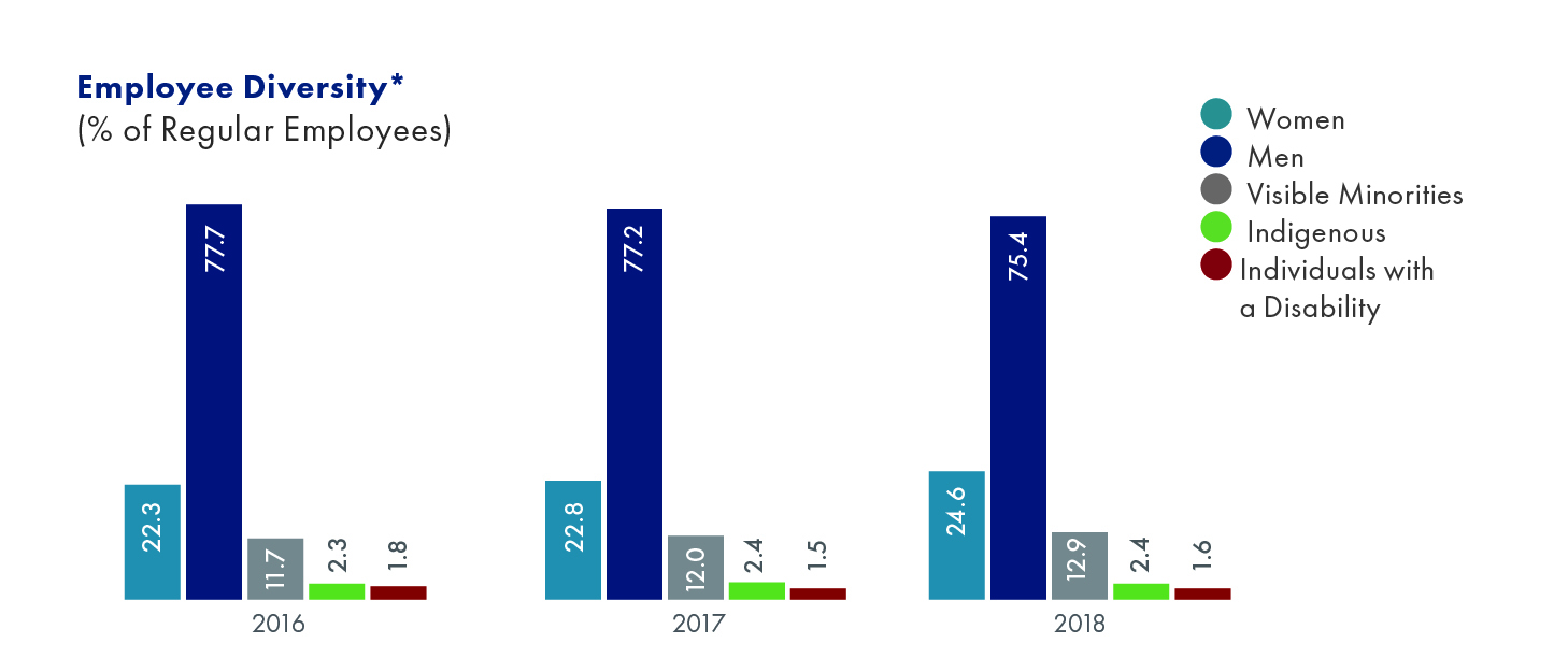 illustration of the Hydro One Employee diversity graph