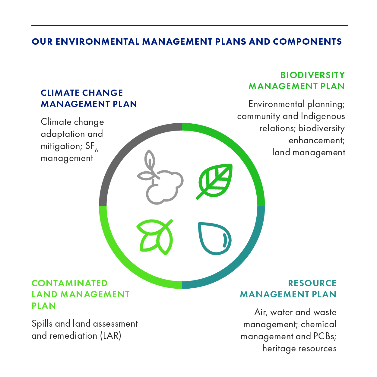 photo illustration of the 2018 environmental scorecard