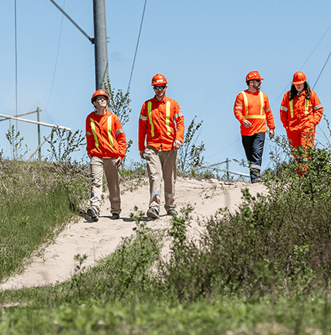 Hydro One employees walking along a transmission corridor during a field visit