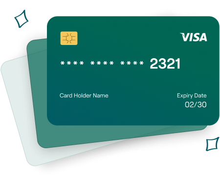 Visa card graphic