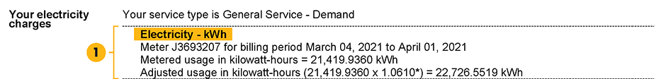 image of a sample bill Electricity - kWh lines