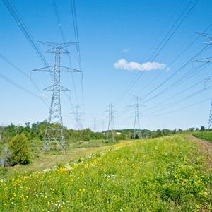 photo of a Hydro One Right of Way under a transmission corridor