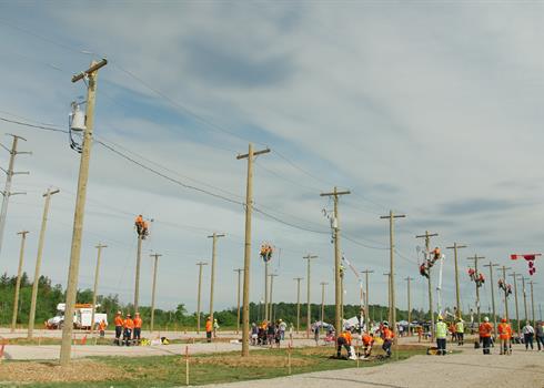 Lines Photo 2