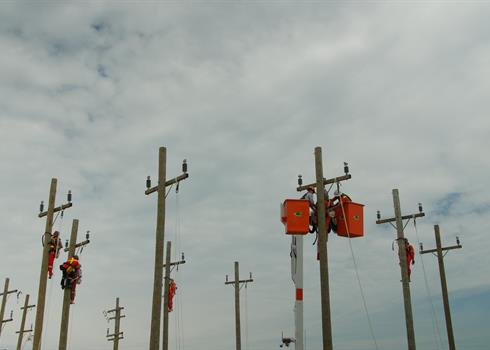 Lines Photo 6