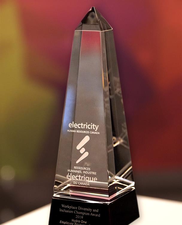 photo of the Workplace Diversity and Inclusion Award