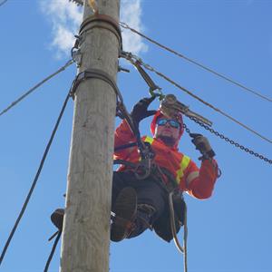 Photo of a Hydro One worker on top of a distribution pole
