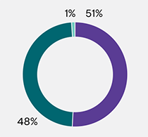 A pie chart showing $3.44 billion in revenues