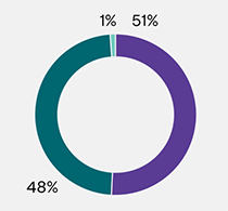 A pie chart showing $3.44 billion in revenues