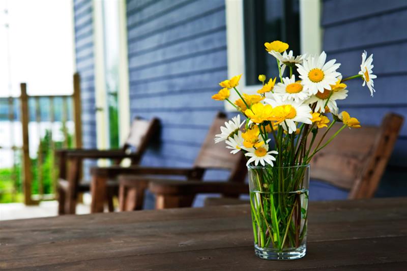Picture of Flower on table at Cottage