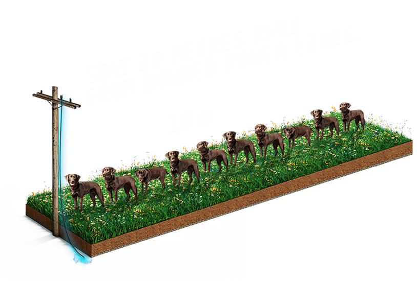 Image of our Mind the Lines campaign: Stay 10 metres away from downed power lines.