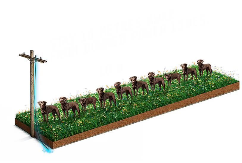 Image of our Mind the Lines campaign: Up, down and underground, power lines are around us and can be dangerous. Know the risks and how to avoid them to stay safe. Stay 10 metres away from downed power lines. Click to learn more.