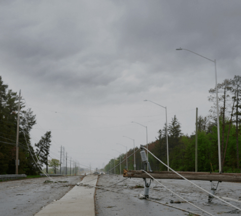Downed Lines Image