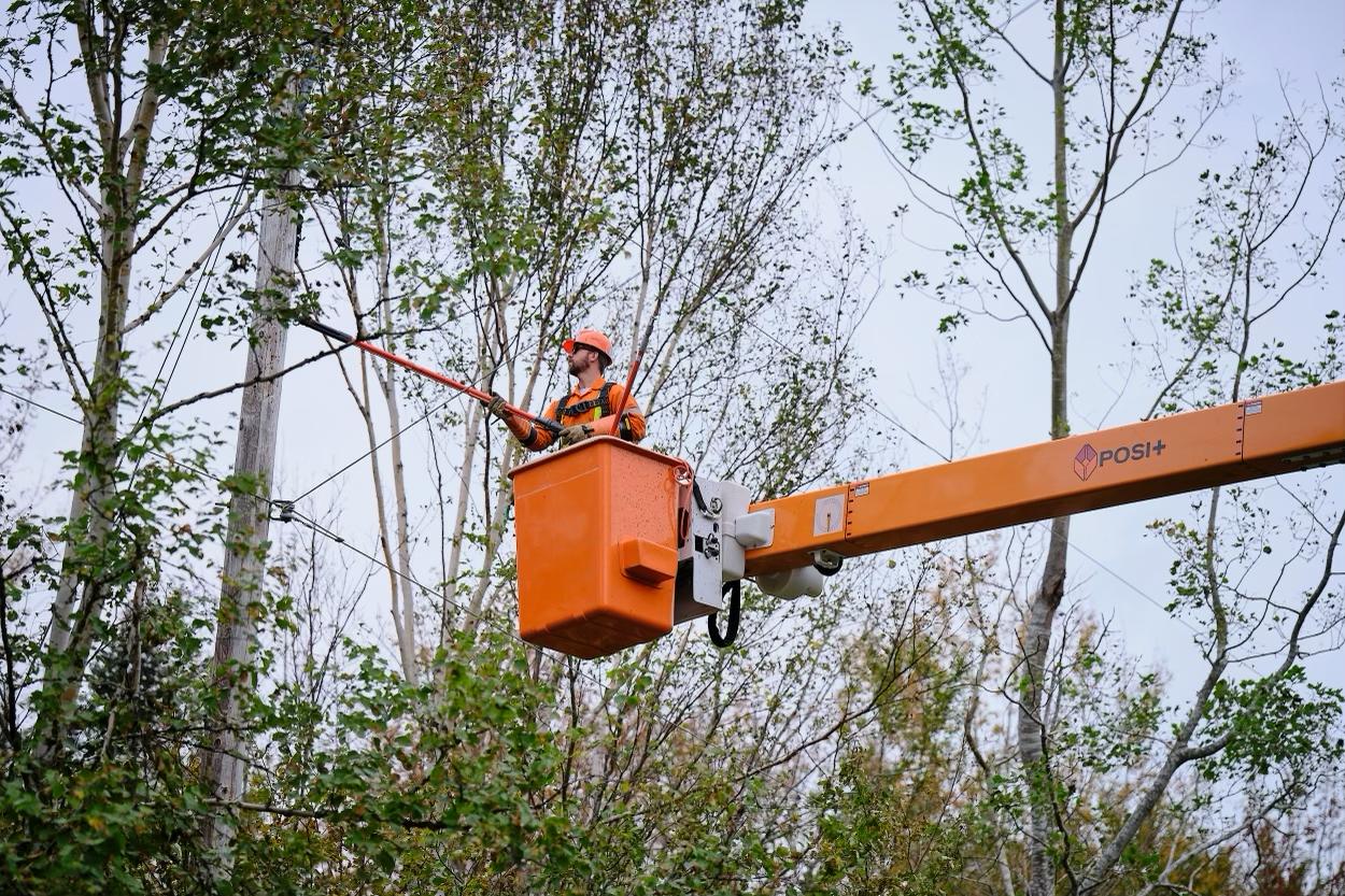 Linesman clearing out tree branches