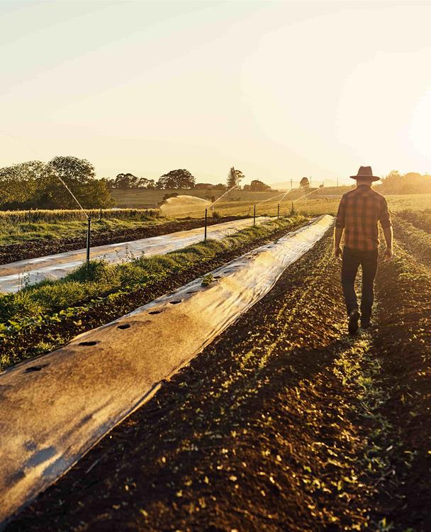 photo of a farmer walking in his field