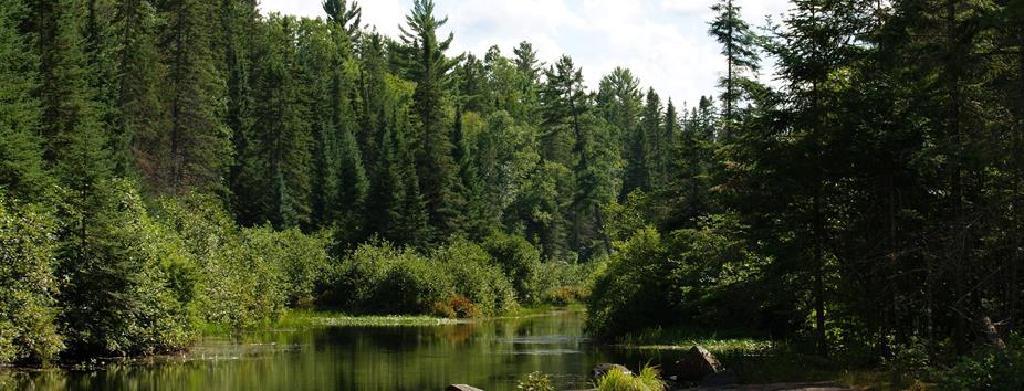 Photo of a northern First Nations community