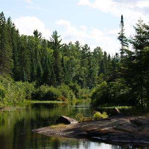 Image of a tree-lined river in the far north of Ontario